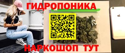 прущие крисы Кинель