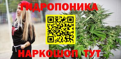 герыч Кингисепп