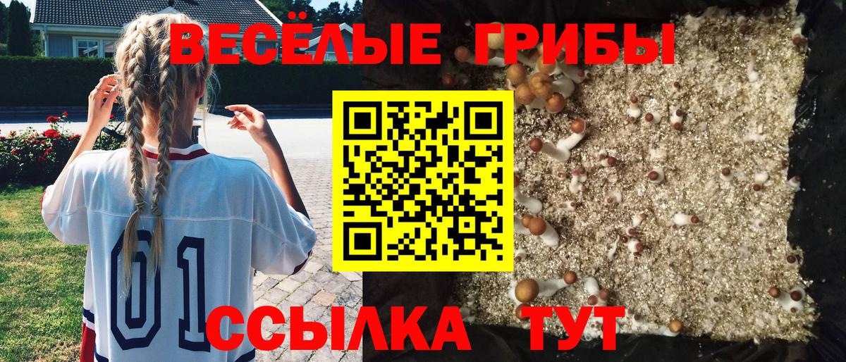 Кисловодск  Галлюциногенные грибы мухоморы  Вход с VPN 