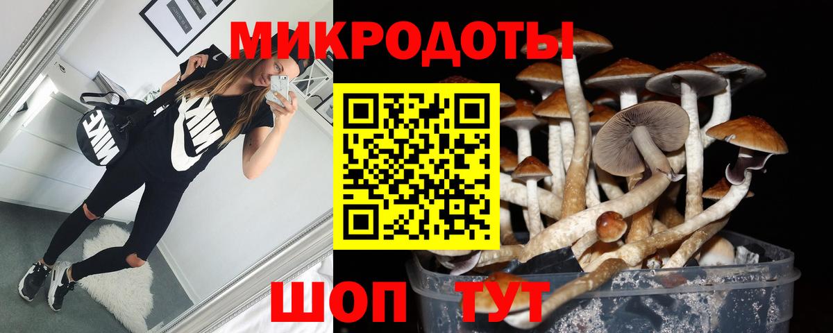 Псилоцибиновые грибы Psilocybine cubensis Кисловодск